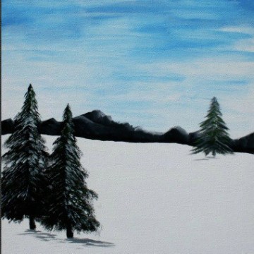 a close up of a tree covered in snow