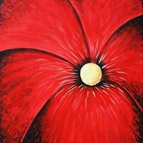 a close up of a colorful background